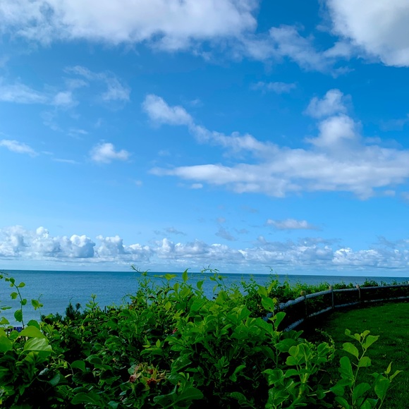 Meet your Posher, April - Picture 1 of 1